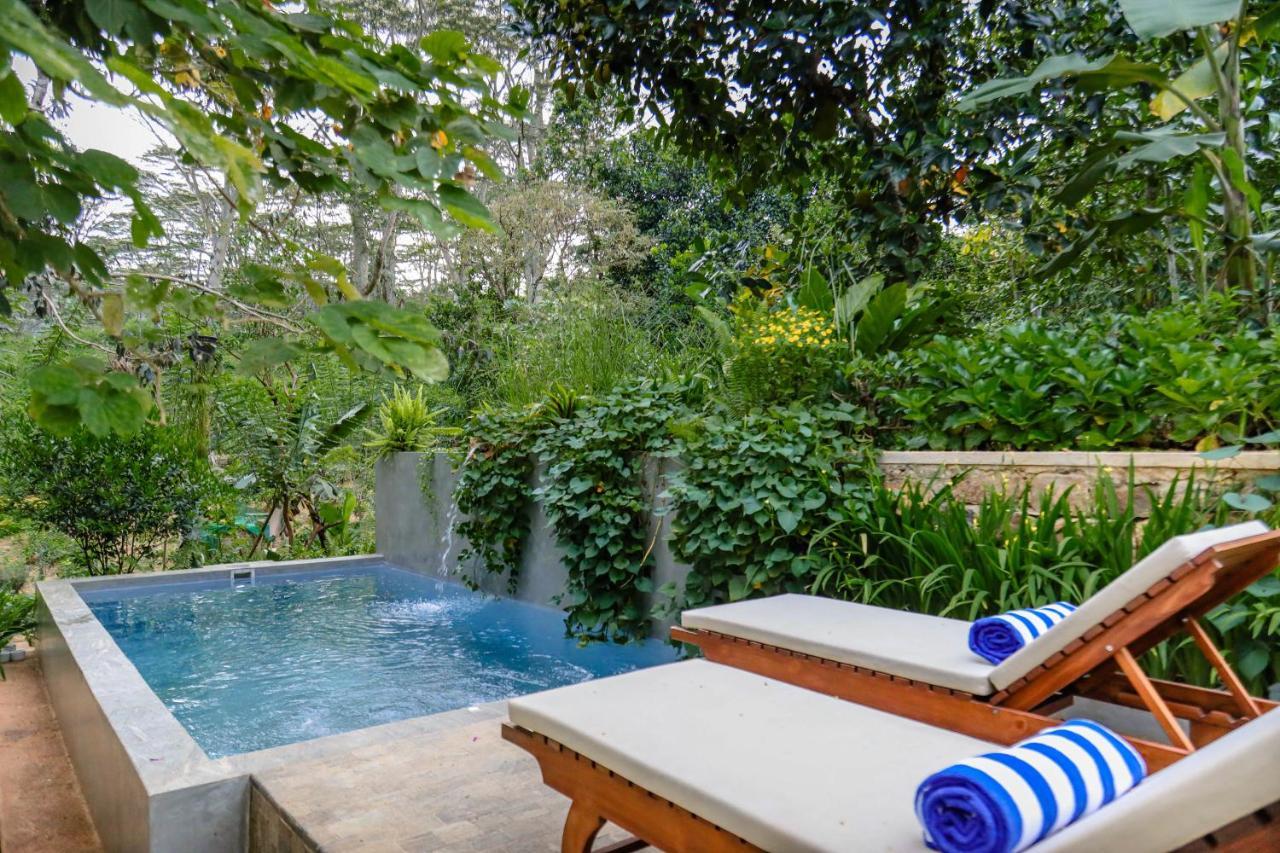 Tranquilisle Hotel Kandy Eksteriør billede